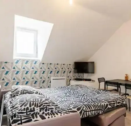 4pers 2lits 5 Min Aeroport Orly,navette Et Parking Extra,location En Nuit Et Jourchez Sandro, Aparthotel *